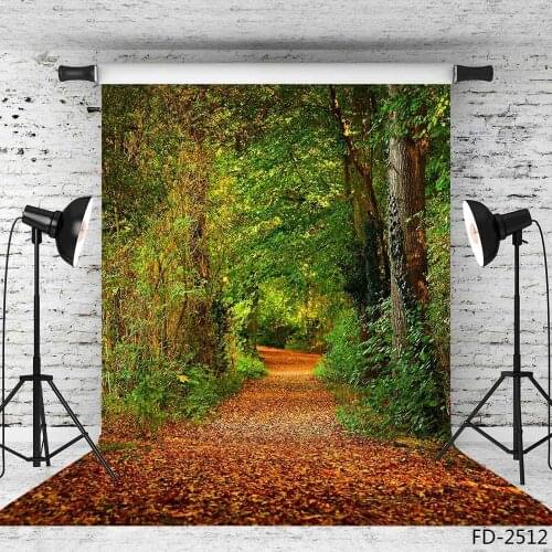 Autumn Forest Fallen Leaves Path Leaf Woods Scenery Backdrop 3D Vinyl Photography Background Baby Portrait Photo Studio Props