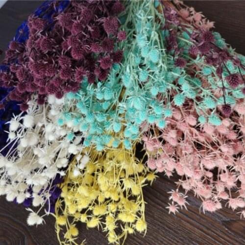 35-40CM/Real Natural Eternelle Dried Flowers Celery Bouquet,Preserved Valentines Fruit For Wedding Decorations,Home Decor
