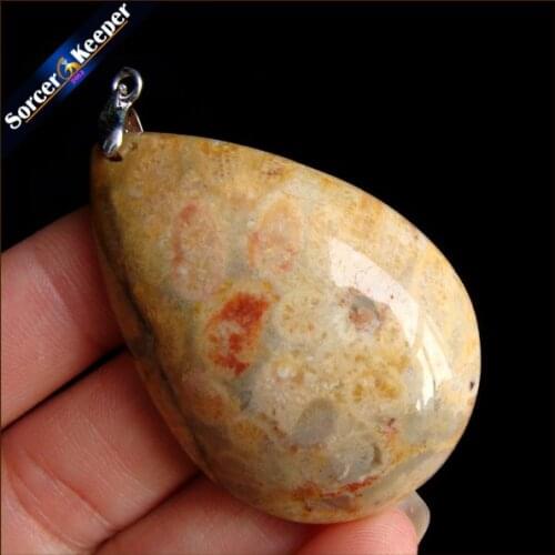 New Hot Selling Natural Stone Crinoid Fossil Necklace Jewelry Chrysanthemum Stone Healing Reiki Pendant For Men Women HS351