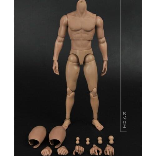 1/6 BD005 Muscular Body Model Narrow Shoulder Figure TTM19 Toys Fit HT SS Head