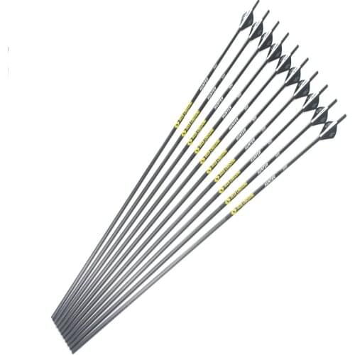 12pcs Hunting compound bow spine300 340 400 500 600 ID6.2mm Carbon arrows shaft 2" plastic vane arrow nock 100gr arrowhead