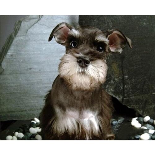 Schnauzer Dogs Pet 3D Diamond Painting Cross Stitch Needlework Full Round Diamond Embroidery pattern mosaic unique gift YG1219