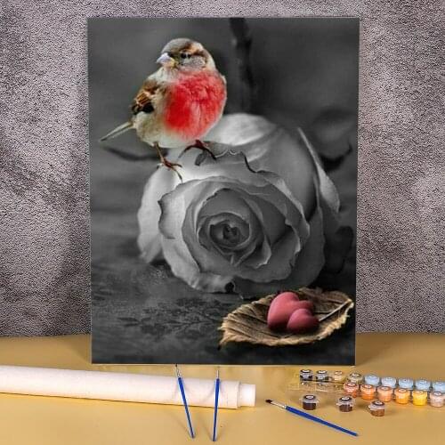 Bird Animal Paint By Numbers Complete Kit Acrylic Paints 50*70 Painting On Canvas Home Decor Children Wholesale Wall Drawing