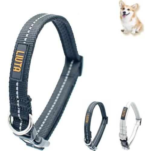 2021 New Collar For Dogs Small Medium Dog Collar Personalized Nylon Solid Luminous Collar Basic Halter Harnesses Pet Products