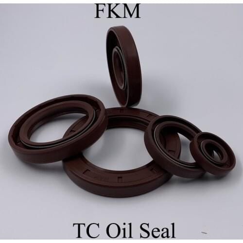 55*78*10/12 55x78x10/12 55*90*8/10 55x90x8/10 Fluoro FKM Fluorine Rubber Spring Two Lip TC Gasket Radial Shaft Skeleton Oil Seal
