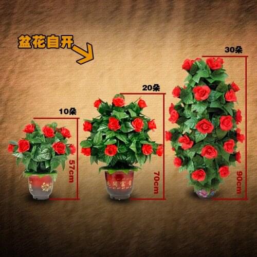 Blooming Rose Bush - Remote Control - 10/20/30 Flowers,magic tricks,mentalism,comedy,stage magic props,magic accessories