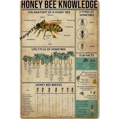 Vintage Tin Sign Honey Bee Knowledge Anatomy Cafe Metal Sign Best Gift Wall Decoration Plaque for cafe bar club room home decor