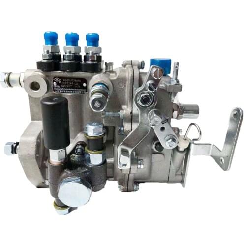 ShanDong KangDa Diesel Fuel Injection Pump BQ/BH3QT85R9 3QT24WT For Huayuan Laidong Engine
