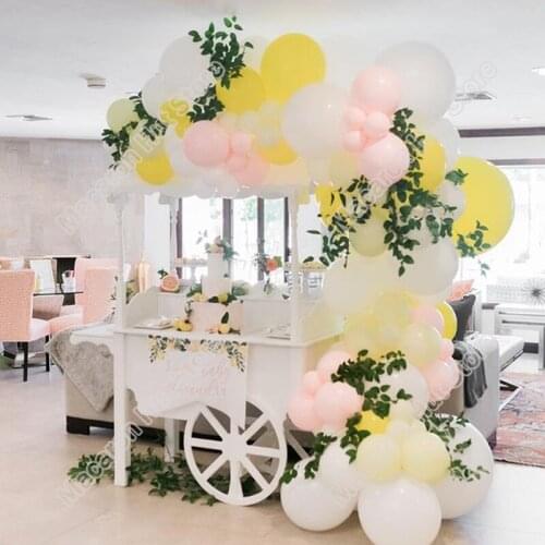 Doubled Macaron Pink Wedding Birthday Party Backdrop Baby Shower Decoration Mint Green Celebration Dinner Balloon Garland Kits