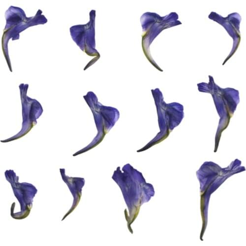 12x/bag Real Dried Flowers 3D Nail Art Decor DIY Jewelry Making Resin Soap Craft