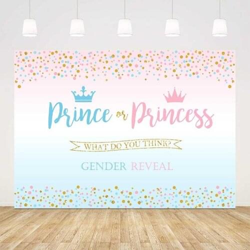 Prince or Princess gender reveal backdrop baby shower party decoration pink or blue and boy or girl blue photo background studio