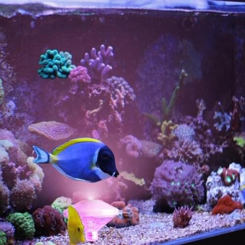 Floating Pool Lights Colorful Waterproof Lights for Pool Parties Battery-powered starfish bath LED light for swimming pool