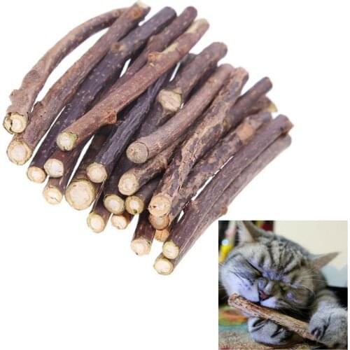 15/20pcs Natural Catnip Pet Cat Molar Toothpaste Stick Actinidia Fruit Silvervine Cat Snacks Sticks Pet Cleaning Teeth