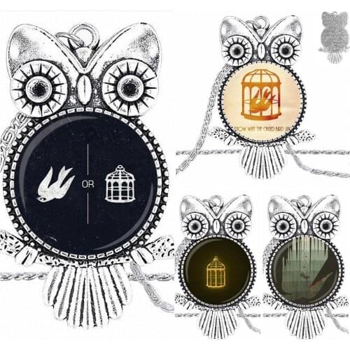 EJ Glaze For Lovers Best Friendship Necklace Fashion Long Chain With Owl Necklace Jewelry Bioshock Infinite Bird Cage
