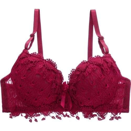 Sexy Women push up lace bra brand embroidery tassel Lingerie brassiere