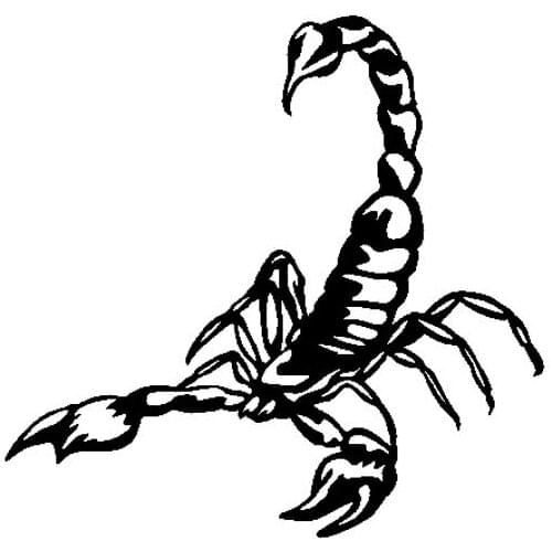 12.7CM*12.3CM Scorpion Forecious Decal Vinyl Car Sticker Black/Silver C19-0358