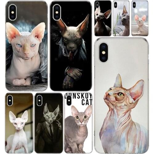 Sphynx Cat Phone Case Cover For Iphone 12 Mini Pro 11 7 8 6 6S Plus + X XS MAX XR 5 5S SE Fashion Art TPU Coque Shell Capa