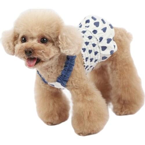 2021 Small Dog Skirt Cat Dress Puppy Dresses Summer Dog Clothes Chihuahua Yorkshire Yorkie Pomeranian Poodle Schnauzer Clothing