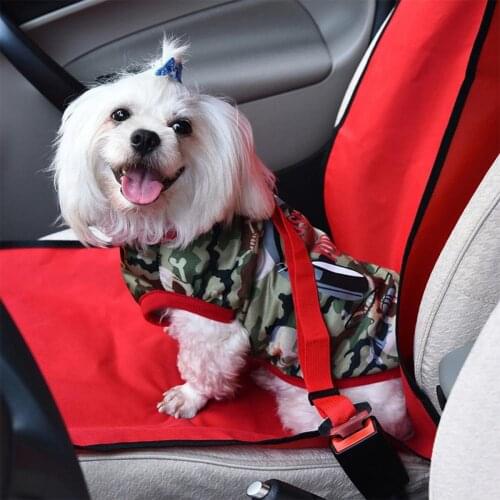 Buffer Clothes And Footwear For Dogs