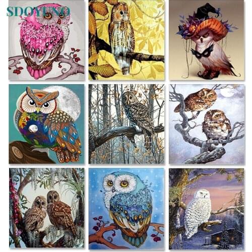 SDOYUNO Owl Acrylic Painting By Numbers Animals DIY Paint By Numbers On Canvas Handpaint 60x75cm Frameless Draw Number Gift