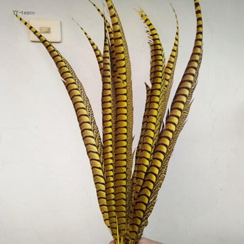 10pcs yellow natural Lady Amherst Pheasant Feathers 65-75cm/26-30inch Wedding Accessories Stage performance diy Carnival diy