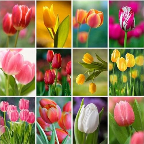 5D DIY Diamond Painting Flower Full Square Drill Diamond Embroidery Cross Stitch Kit Rose Resin Mosaic Home Decor Wall Art Gift