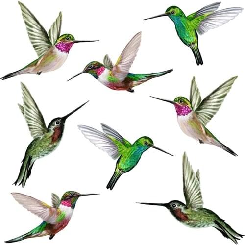 8 Large Beautiful Humming Bird Static Cling Window Stickers Hummingbird Anti Collision Bird Strike Window Stickers