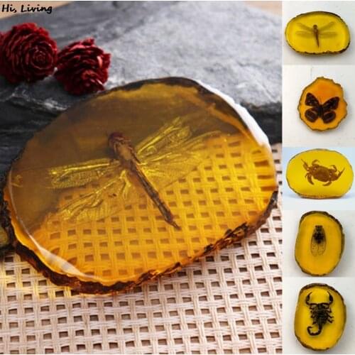 2021 Collection Chinese Beautiful Amber Dragonfly Fossil Insects Manual Polishing Exquisite Gift