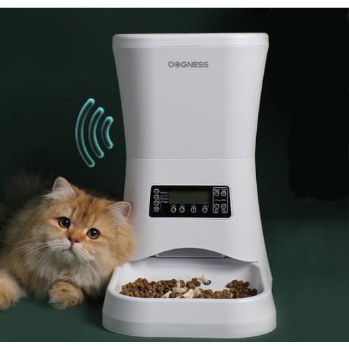 2021New Auto feeders for cats Bowls Pet products accessories food dispenser dogs smart automatic ration feeder Voice reminder