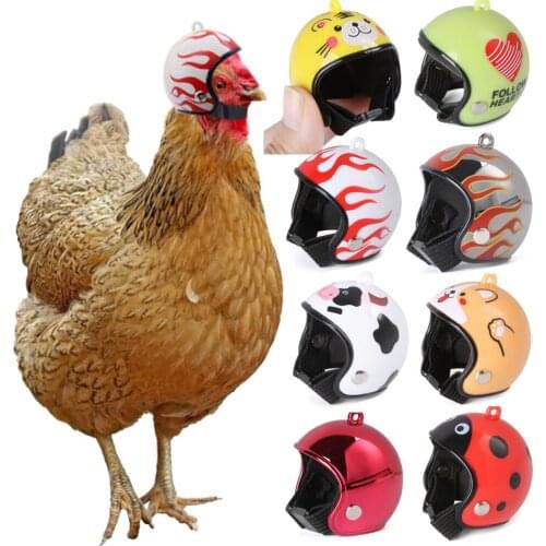 Funny Chicken Helmet Cover Pet Protective Gear Sun Rain Protection Helmet Toy Birds Chickens Small Pet Supplies Costumes