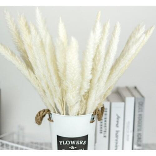 15Pcs Valentines Day candle Small Pampas Grass Preserved Flores Wedding Decoration Home Decor Flower Wall Party Decoration