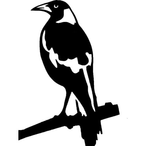 16*11.1cm Car Stickers MAGPIE vinyl decal sticker Creative Stickers Car Accessories Car Styling Decal Jdm