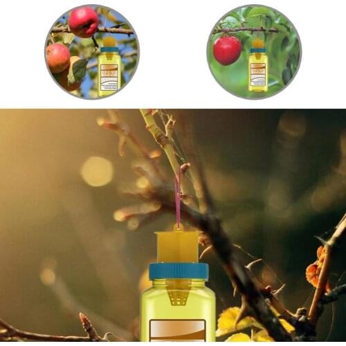 Strong Construction Long Lasting Drosophila Attractant Fly Catching Bottle for Farm