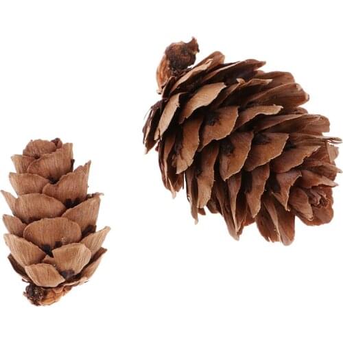 50x Mixed Size Real Natural Pine Cone for Home Garden Decoration DIY Garland