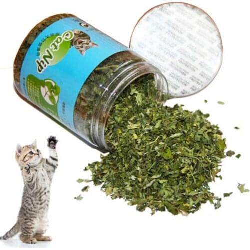 10g/20g/30g Natural Organic Premium Catnip Catmint Menthol Flavor Can Be Sprinkled on Toys and Catnip Toys #2 #7