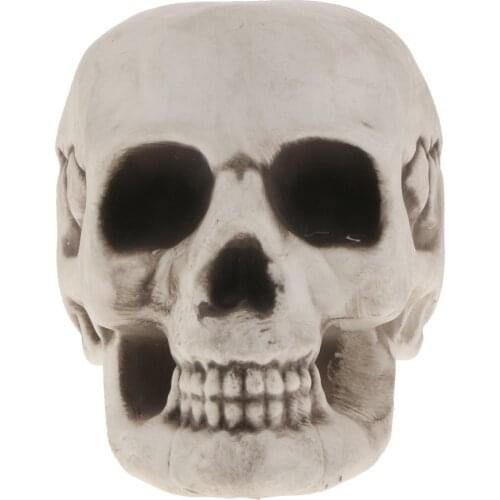 Plastic Skull Head Figurine Skeleton Model Statue Halloween Decoration Indoor Outdoor Home Table Desk Ornament Shop Display