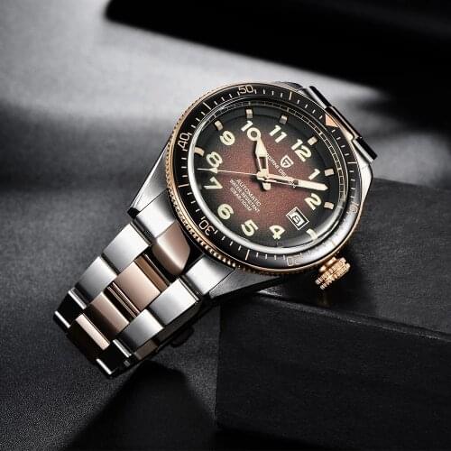 PAGANI Design 2020 Men Watches Top Luxury Automatic Stainless Steel Waterproof Watch Brand Business Sport Mechanical Wristwatch