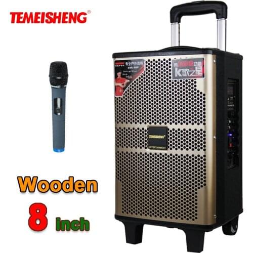 TEMEISHENG 8 Inch Wooden High Power Loudspeaker Portable Bluetooth Speaker Support Wirelss Microphone Outdoor Amplifers Column
