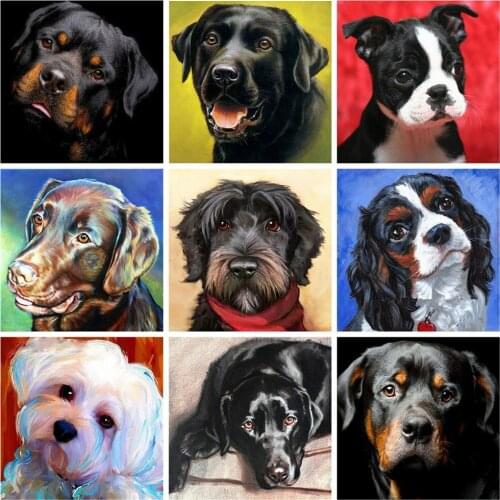Huacan Diamond Embroidery Complete Kit Dog Mosaic 5D Diamond Painting Animal Paintings For Interior Bedroom Decoration