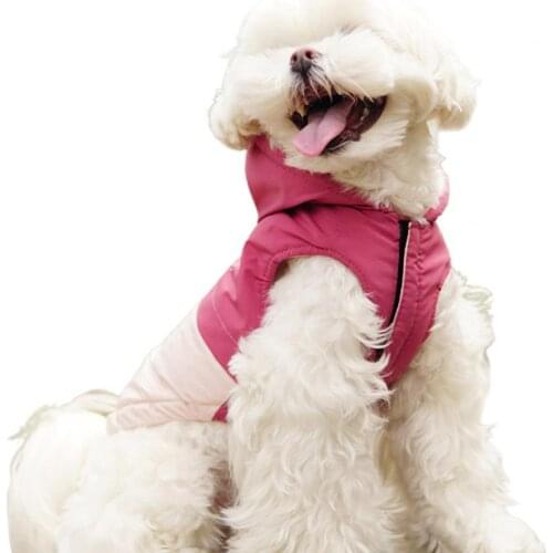 Pet Jacket Color-stitching Comfortable Fashion Dog Two-legged Vest Clothes for Autumn Winter
