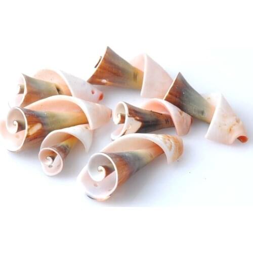 Nautical Decor Spiral Seashell Zeeschelp Scrapbooking Craft Beach Decor 10pcs 30-40mm TRS0060