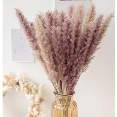 Bulrush Natural Dried Flowers Artificial Plants Branch INS Pampas Grass Phragmites Fake Flower Wedding Home Decoration christmas
