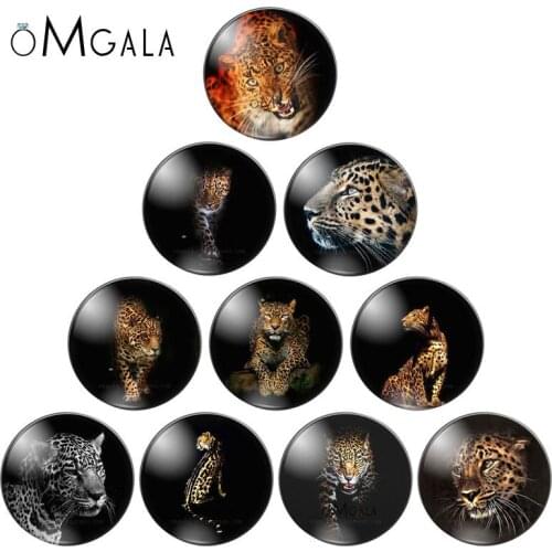 NEW Leopard Patterns mixed 10pcs 12mm/18mm/20mm/25mm Round photo glass cabochon demo flat back Making findings