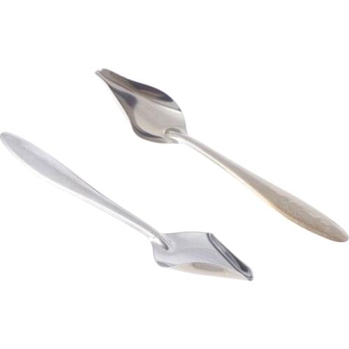2pcs/set Bird Parrot Feeding Spoon Stainless Steel Water Milk Powder Feeder Spoons Bird Supplies