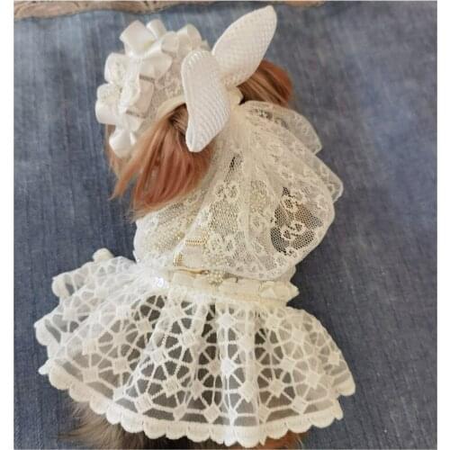Dog Dress Fashion Pet Clothes Lace Puppy Princess Prom Cat Birthday Party Gown Bride Costume White Bowknot Doggie Wedding Skirt