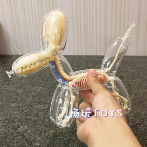 4D MASTER Balloon Dog Model Detachable DIY Toy Educational Equipment Anatomy Tool Transparent Animal 27810 Canine Skeleton