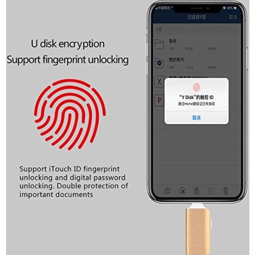 IPhone Usb Flash Drive 256GB For iPhone 6 6S 7 7S 7P 8 8Plus X iPad Flash Drive Lightning USB 3.0 Memory Stick Pendrive 128GB