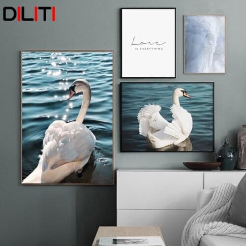 White Swan Love Quotes Canvas Painting Nordic White Feather Posters and Prints for Living Room Wall Art Picture Home Decor
