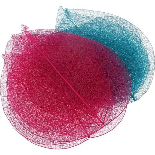 20x Natural Dried Heart Shape Bodhi Leaves For DIY Crafts