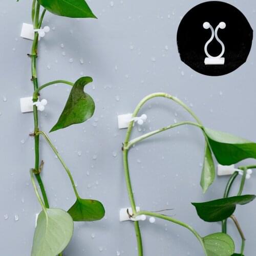 1/10pcs Plant Climbing Wall Clip Invisible Wall Vines Fixture Wall Sticky Hook Holder Plant Cages Holder Plant Stent Supports